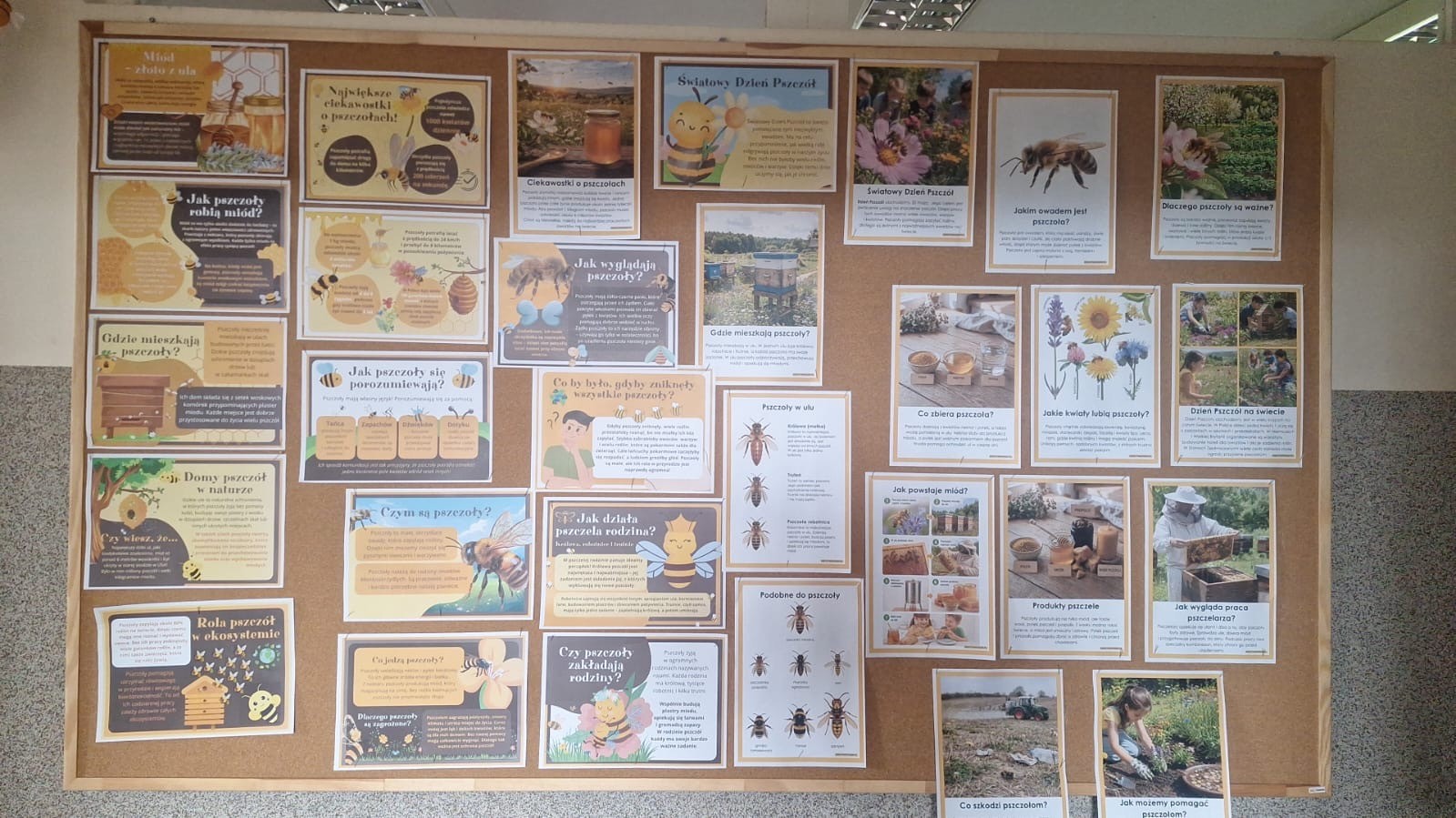 Światowy Dzień Pszczół! 